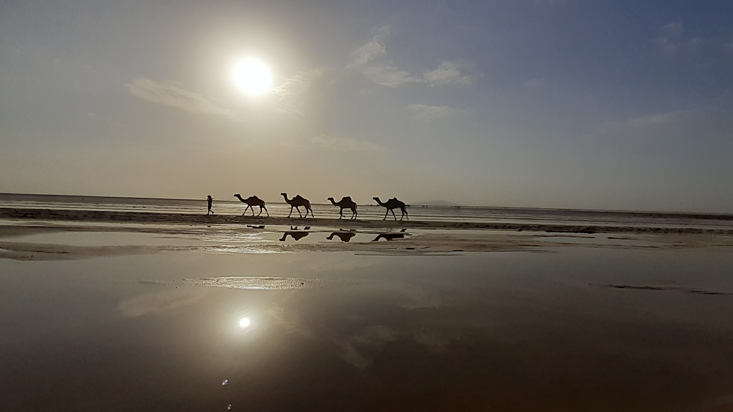 Ethiopian Salt Lakes and Camel Caravan Danakil Depression