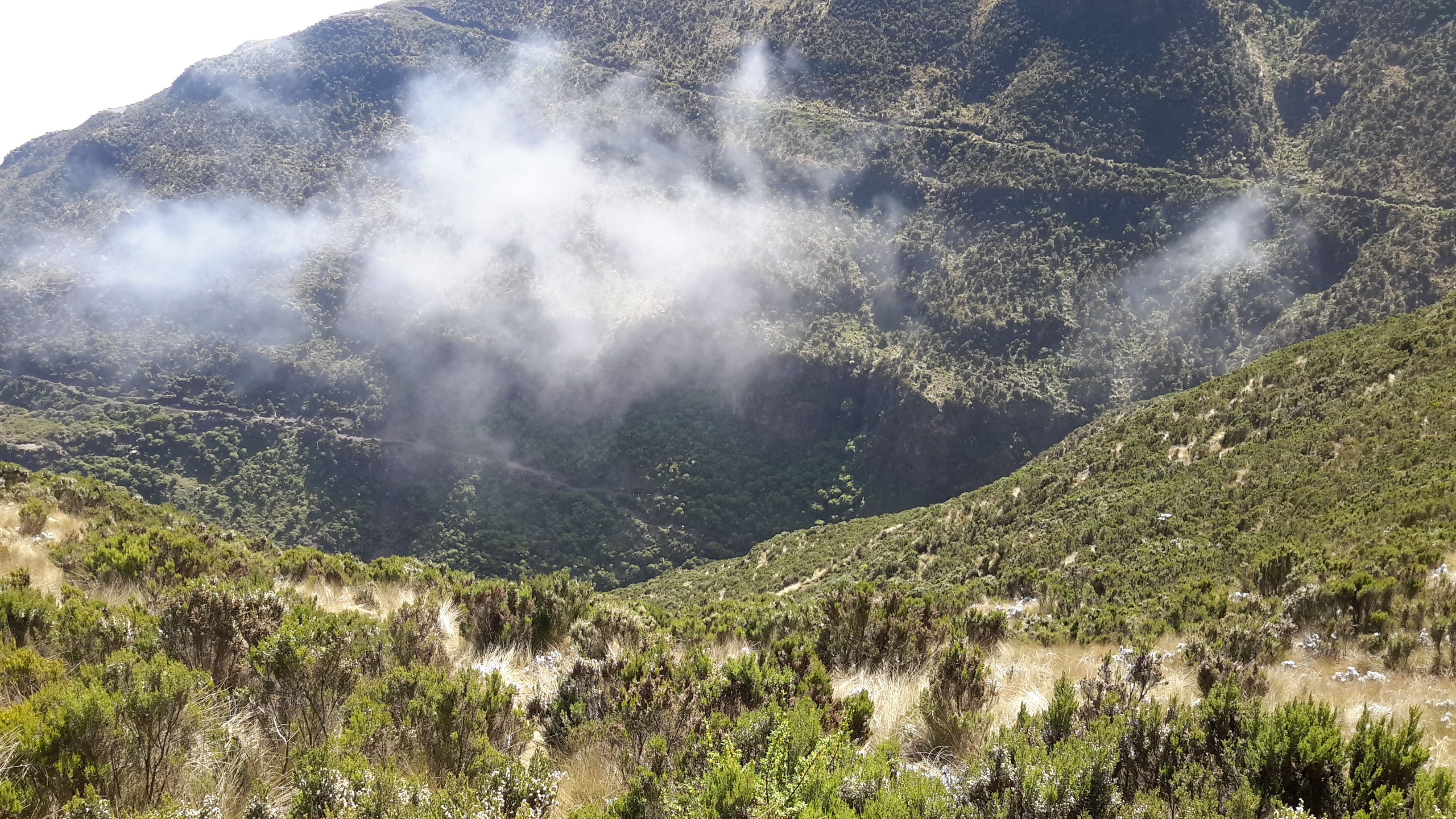 Ethiopia mountains trekking