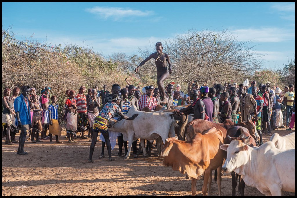 Bull Jumping Rite Ethiopia Omo Valley