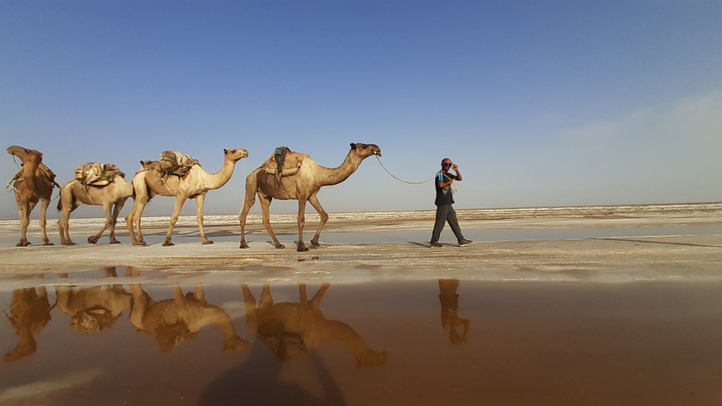Ethiopia, Somaliland, Djibouti tour